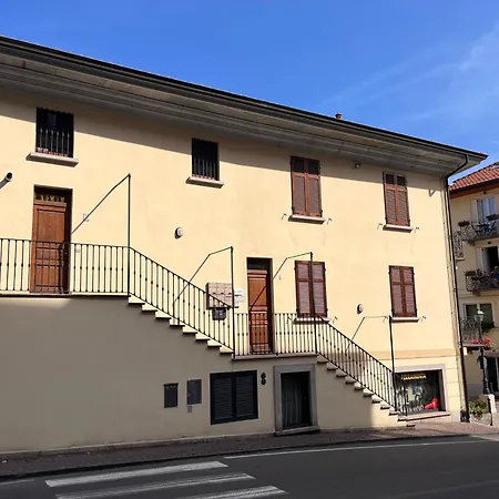Daire L'acero